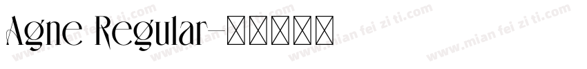 Agne Regular字体转换